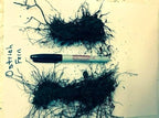 10 Roots TN Otrich Glade Fern Rhizome Matteuccia Struthiopteris - Live Root Plant