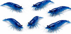 10+ Live Blue Dream Neocaridina Shrimp - Premium Freshwater Aquarium Invertebrates for Planted Tanks, Breeding Stock with Live Arrival Guarantee