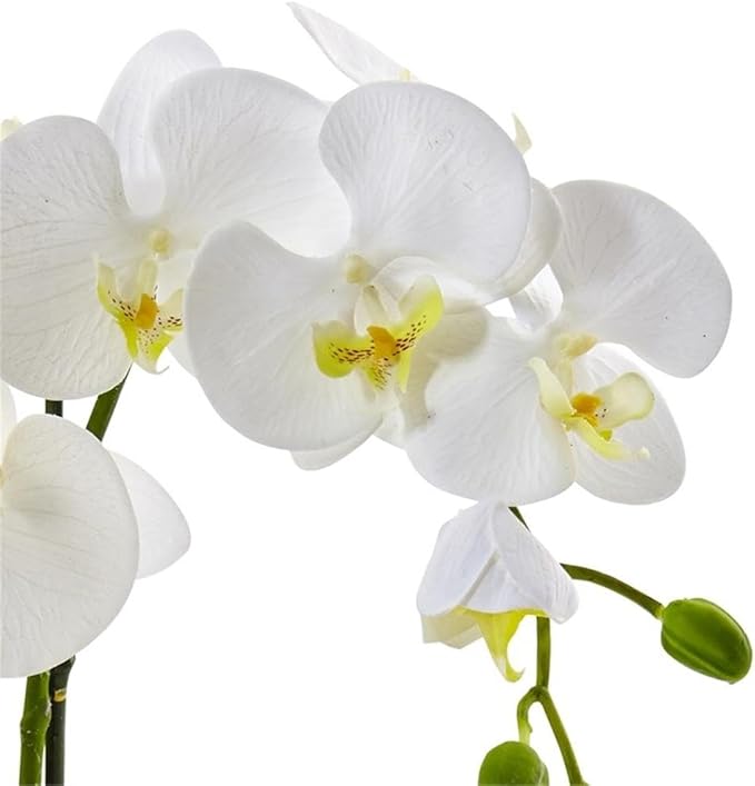 Pemberly Row Faux Phalaenopsis Orchid, 19 in Tall, White Blossoms, Two-Toned Ceramic Pot, Textured Realistic Petals and Leaves, Elegant Decor for Vanity, Bedside or Living Room