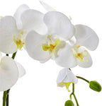 Pemberly Row Faux Phalaenopsis Orchid, 19 in Tall, White Blossoms, Two-Toned Ceramic Pot, Textured Realistic Petals and Leaves, Elegant Decor for Vanity, Bedside or Living Room