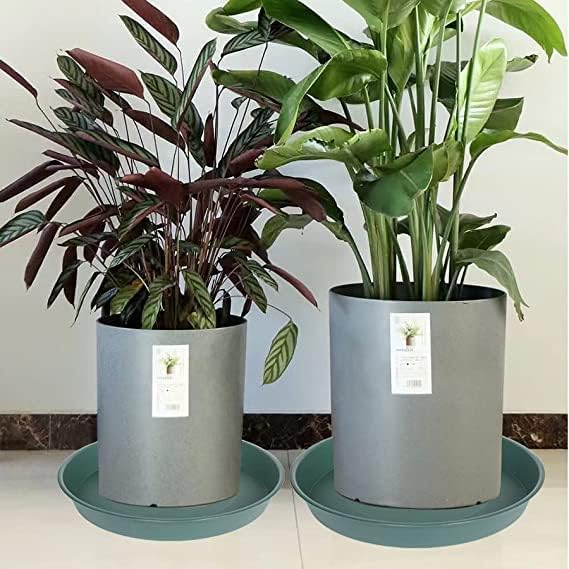 2 Pack of 10 inch Plant Saucer Gray, Heavy Duty Plastic Plant Saucer 10 inch Round, Durable Plant Tray for Pots, Plant Saucers for Indoors, Plant Trays for Planter 9"/10" (10", Green)