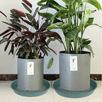 2 Pack of 10 inch Plant Saucer Gray, Heavy Duty Plastic Plant Saucer 10 inch Round, Durable Plant Tray for Pots, Plant Saucers for Indoors, Plant Trays for Planter 9"/10" (10", Green)