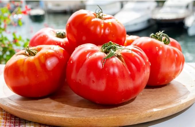 Floradel Tomato Seeds - Solanum lycopersicum - Plant with Confidence - 125+ Heirloom, Non-GMO Seeds for Bountiful Harvests!