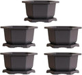 Large Hexagonal Bonsai Pot and Drip Tray - 11 inch Container with Tray (5 Pots)