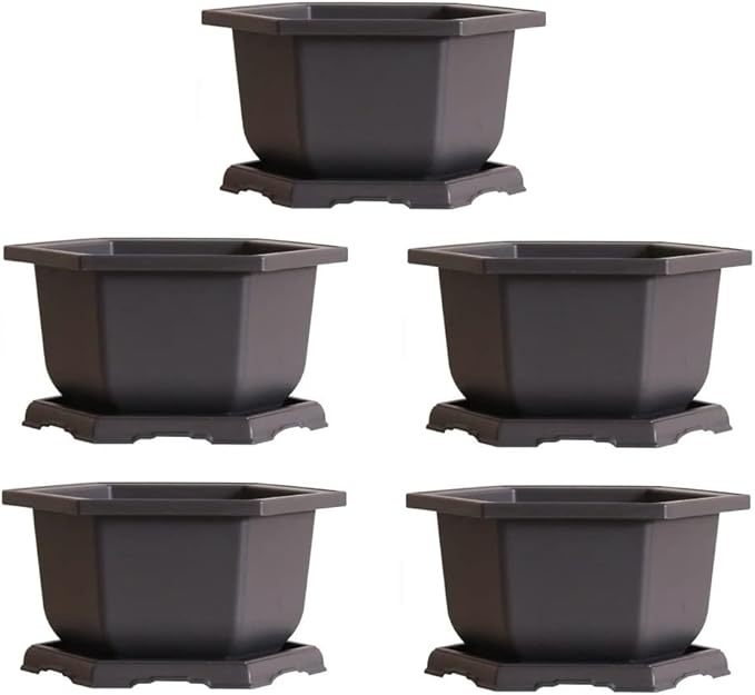 Large Hexagonal Bonsai Pot and Drip Tray - 11 inch Container with Tray (5 Pots)
