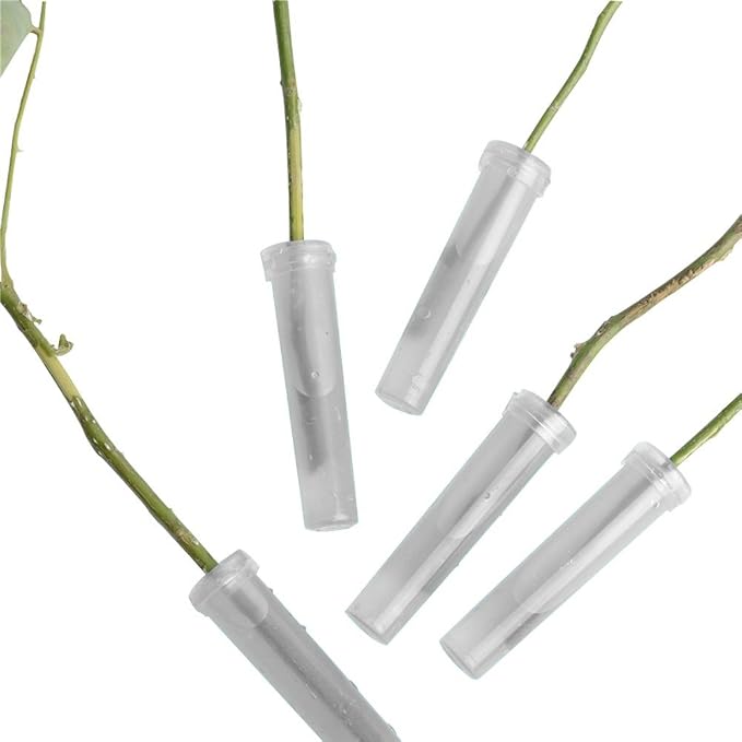 Plastic Floral Water Tubes - 40-Pack Clear Florist-Grade Stem Holders for Hydration, Flower Arrangements Supplies with Leakproof Caps (Weddings/Bouquets)
