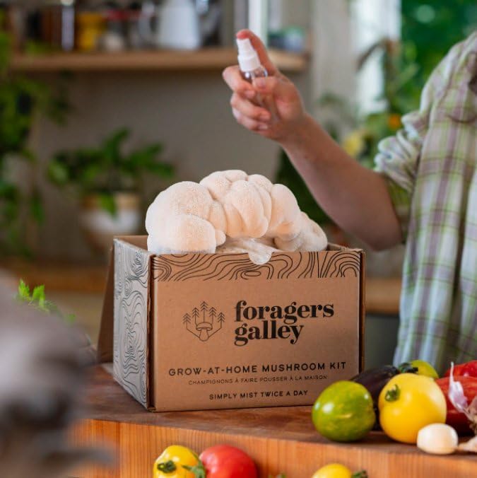 Lion's Mane Mushroom Growing Kit - 6lbs - Mushroom Grow Kit, Indoor Growing, Easy to Use, Grow Lions Mane at Home