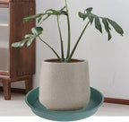 2 Pack of 20 21 inch Plant Saucer Round, Deep Plant Saucers for Pots, Heavy Duty Plastic Plant Drip Tray for Indoors Outdoor, Bird Bath Bowls, Plant Trays for Planter 19-22" (21 inch, Green)