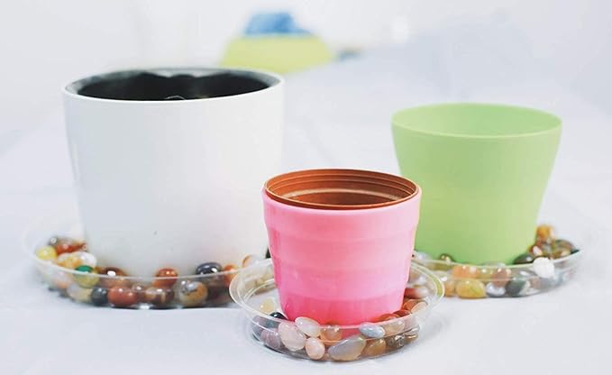 TRUEDAYS 6 Inch 5 Pack Clear Plant Saucers Flower Pot Tray Excellent for Indoor & Outdoor Plants