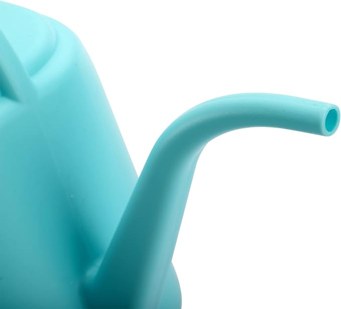 Fasmov 1-Gallon Plastic Watering Can with Comfortable Handle, Garden Watering Cans Long Spout for Indoor Outdoor Watering Plants, Bright Blue