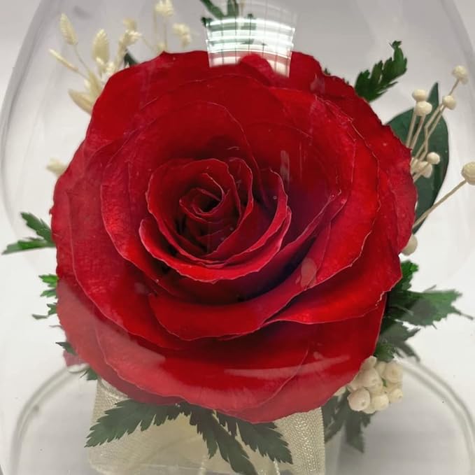 Fiora Flower | Long Lasting Real Roses in a Sealed Vase | Lasts up to 5 Years | Unique Present Gift