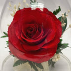 Fiora Flower | Long Lasting Real Roses in a Sealed Vase | Lasts up to 5 Years | Unique Present Gift