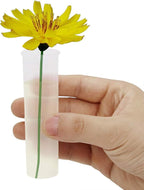 Tirifer 21 Pack 60ml Large Floral Tubes with Rack Holder for Milkweed Cuttings, Raising Caterpillars, Monarchs, Butterflies, Flower Arrangements