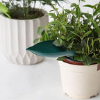 6Pcs Creative Leaf-Shaped Water Funnel Innovative Garden Plant Watering Device for Irrigation and Drainage