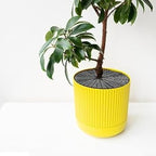 Four Piece Flower Pot Grids Set Designed for Plant Protection from Pets, Made with Resistant Plastic Material for Indoor and Outdoor Use (B)