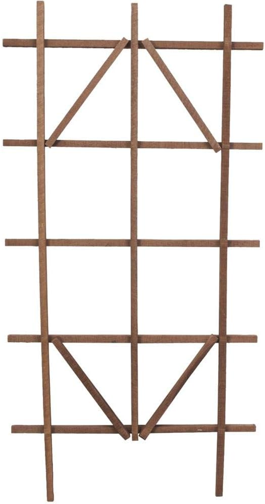 Panacea 83738 Wooden Ladder Trellis, 48" Tall, Brown
