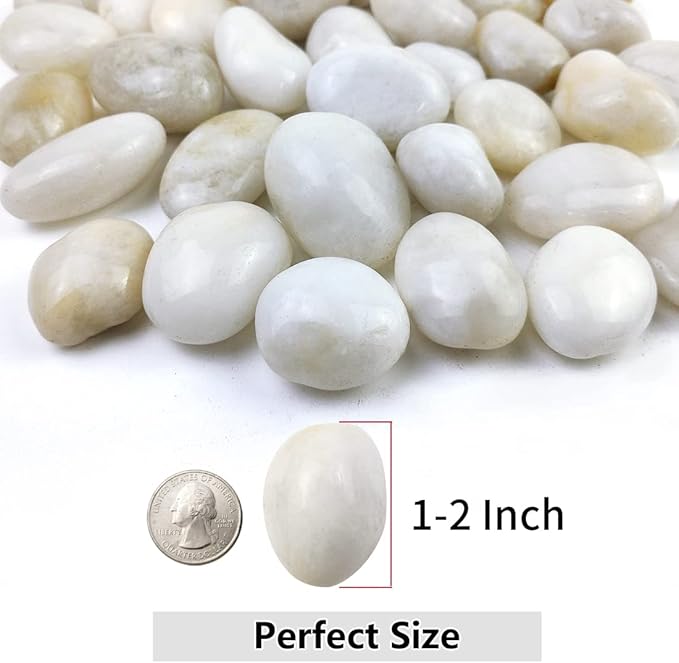 YISZM 20lbs White River Rocks, 1-2 Inch Natural Pebbles for Indoor Plants, High Polished Decorative Stones Vase Filler Fish Tank Aquariums Landscaping Garden Outdoor and Indoor DIY