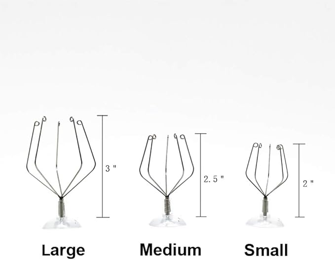 10 Pack Vertical Air Plant Holder (Suction Cup, Stainless Steel Tillandsia Air Plant Planter) A Unique Set of Air Plant Containers for Creating Tillandsia Art Display on Window. (Medium)