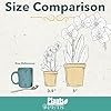 Large White Live Orchids Blooming in 5" Blue & White Orchid Pot, Pet Friendly Live Plant Gifts for Plant Lovers, Approx. 22"+ Tall, Real Houseplants, Phalaenopsis Moth Flowers by Plants for Pets