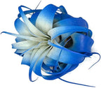 XL Xerographica Colored Air Plant, Live Tillandsia House Plant, Easy Care Indoor Outdoor, Great Gift, Healthy Arrival Guaranteed (Blue)