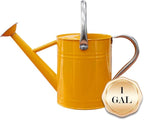 Metal Watering Can, One Gallon Watering Cans Stainless Steel for Outdoor Indoor Garden Plants Watering (Yellow)