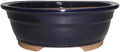 Brussel's 10" Oval Bonsai Glazed Ceramic Pot (Large, Dark Navy)