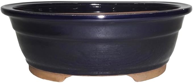 Brussel's 10" Oval Bonsai Glazed Ceramic Pot (Large, Dark Navy)