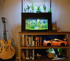 AquaSprouts Aquaponics Garden, Self-Sustaining Desktop Aquarium Hydroponics Ecosystem Kit, fits Standard 10 Gallon Aquariums