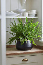 Burgon & Ball Sahara Sunset Large Plant Pot