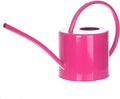 51 Ounce/1.5L Watering Can for Indoor and Outdoor Plants - Long Spout Water Can for Garden, Flower, House Plants, Decorative Watering Can(Rose)