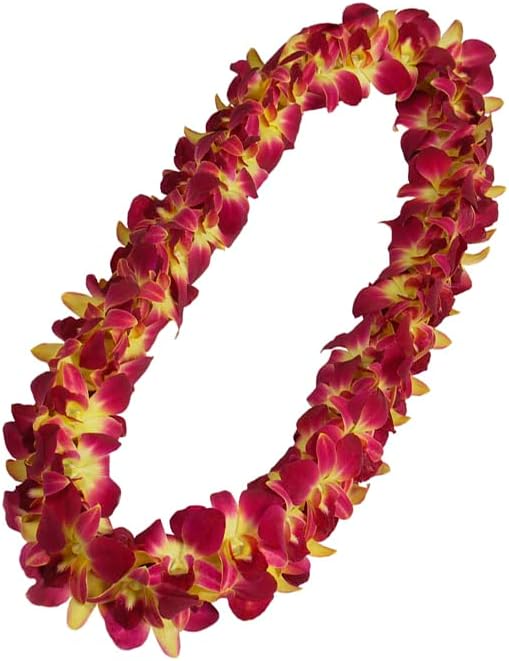 Miami Fresh Orchid Loose Bloom PERISHABLE flowers OrchidClub USA Sunne Tropical DIY lei, food & drink decoration (100 YELLOW)