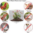 Small Wire Plant Protectors, 10 Pack 12" Square Plant Protectors from Animals Mesh Plant Cage Chicken Wire Cover for Protect Plants, Garden,Shrubs and Vegetables from Animals