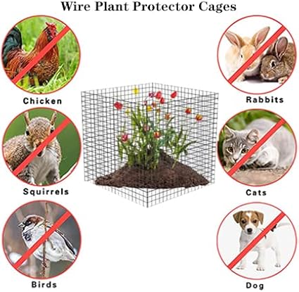 Small Wire Plant Protectors, 10 Pack 12" Square Plant Protectors from Animals Mesh Plant Cage Chicken Wire Cover for Protect Plants, Garden,Shrubs and Vegetables from Animals