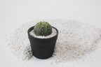 20 Quart Organic Perlite Horticultural Soil Amendment for Plants and Enhanced Drainage Enhanced Growth