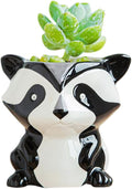 DIYOMR Cute Animal Ceramics Planter Small Succulent Pot Cartoon Shaped Plant Pot for Mini Plants Flower Cactus, Smooth Shiny Ceramic - Plants Not Included (Panda)
