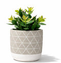 Kurrajong Farmhouse 8" high Artificial Plant in Pot - Small Faux Plant for Desk, Kitchen, Bathroom, Shelf & Coffee Table - Realistic Indoor Plant for Home Decor