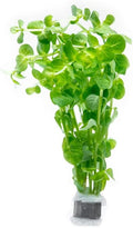 SubstrateSource Live Plant - Rotala Indica Green - Easy Care, Moderate Light, Bright Green Accent, Freshwater Aquatic Plant for Aquascaping - Lead Bunch