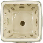 W&W Orchid Pot with Holes and Saucer for Repotting, Cream White, 5.5"
