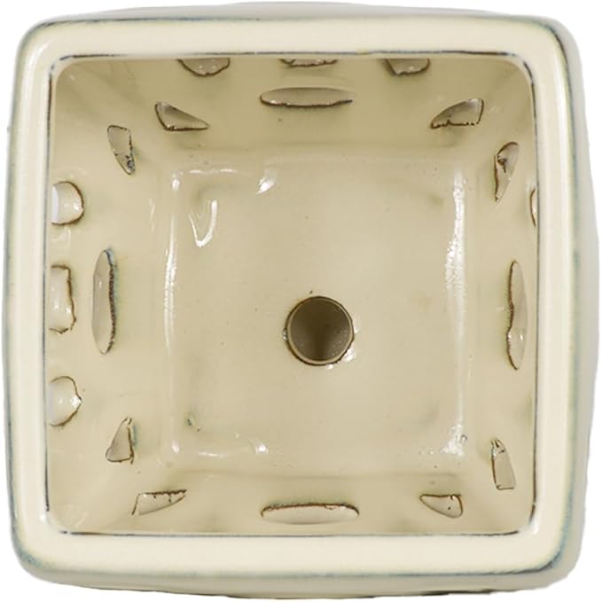 W&W Orchid Pot with Holes and Saucer for Repotting, Cream White, 5.5"