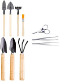 Ciieeo 10pcs Mini Gardening Tool Set for Succulent and Potted Planting with Wooden Handles, Soil Detecting Device, and Bonsai Accessories for Indoor and Outdoor Plant Care