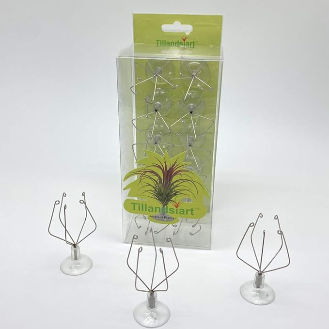 10 Pack Vertical Air Plant Holder (Suction Cup, Stainless Steel Tillandsia Air Plant Planter) A Unique Set of Air Plant Containers for Creating Tillandsia Art Display on Window. (Small)
