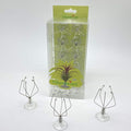 10 Pack Vertical Air Plant Holder (Suction Cup, Stainless Steel Tillandsia Air Plant Planter) A Unique Set of Air Plant Containers for Creating Tillandsia Art Display on Window. (Medium)