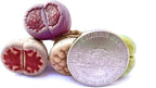 Pack of 10 Live Exotic Lithops Plant Large Size Rare Living Stone Seedling Perfect Terrarium Addition