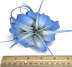 XL Xerographica Colored Air Plant, Live Tillandsia House Plant, Easy Care Indoor Outdoor, Great Gift, Healthy Arrival Guaranteed (Sky Blue)