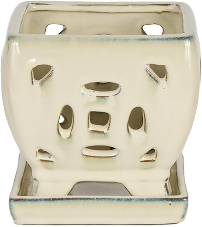 W&W Orchid Pot with Holes and Saucer for Repotting, Cream White, 5.5"