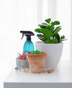 TRUEDAYS 6 Inch 5 Pack Clear Plant Saucers Flower Pot Tray Excellent for Indoor & Outdoor Plants