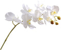 Realistic Faux Phalaenopsis Orchid Stem Artificial Flowers White Plastic Fake Flower Bouquet for Home Living Room Table Decoration