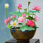 ZEshops 10pcs Mixed Color Bonsai Bowl Lotus Live Plants Pre-Sprouted - Aquatic Beauties for Indoor and Outdoor Serenity