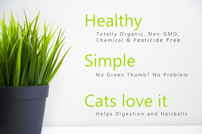 Simple Cat Grass | 100% US Organic Oat Seeds | Show Your Love with a Healthy Pet Treat and Snack (4 Ounce (~3200 Seeds))