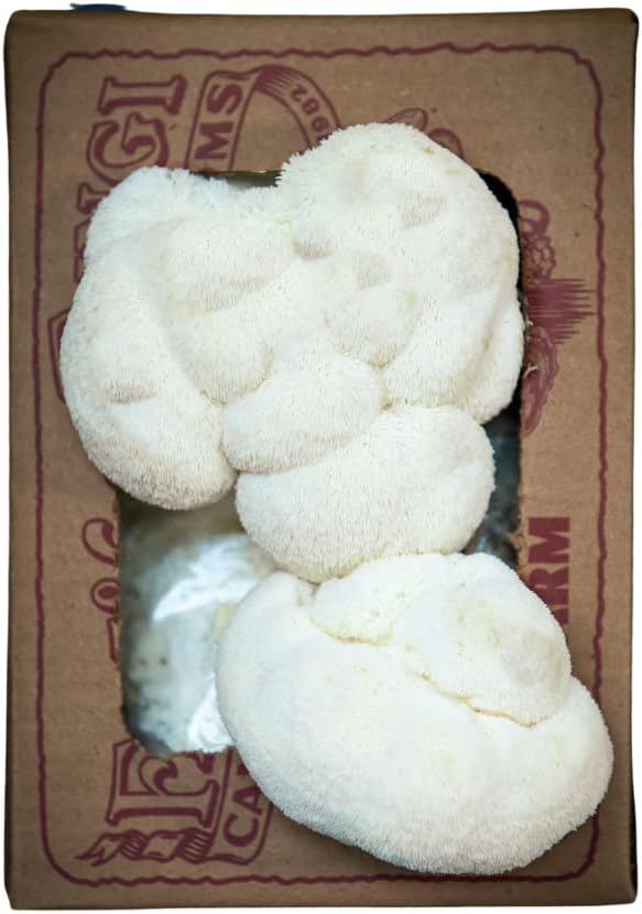 Lion's Mane Mushroom Mini-Farm Grow Kit, 5lbs, Non-GMO, Easy to Use, Grow Your Mushrooms at Home, Produced by Real Farmers in California